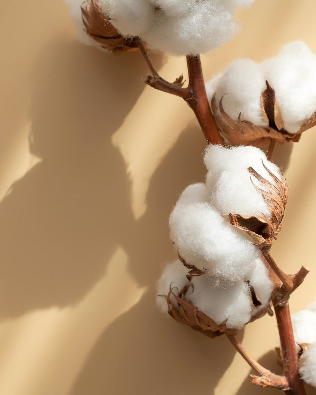 Keeping Our Prices Fair and Aligned with Our Values