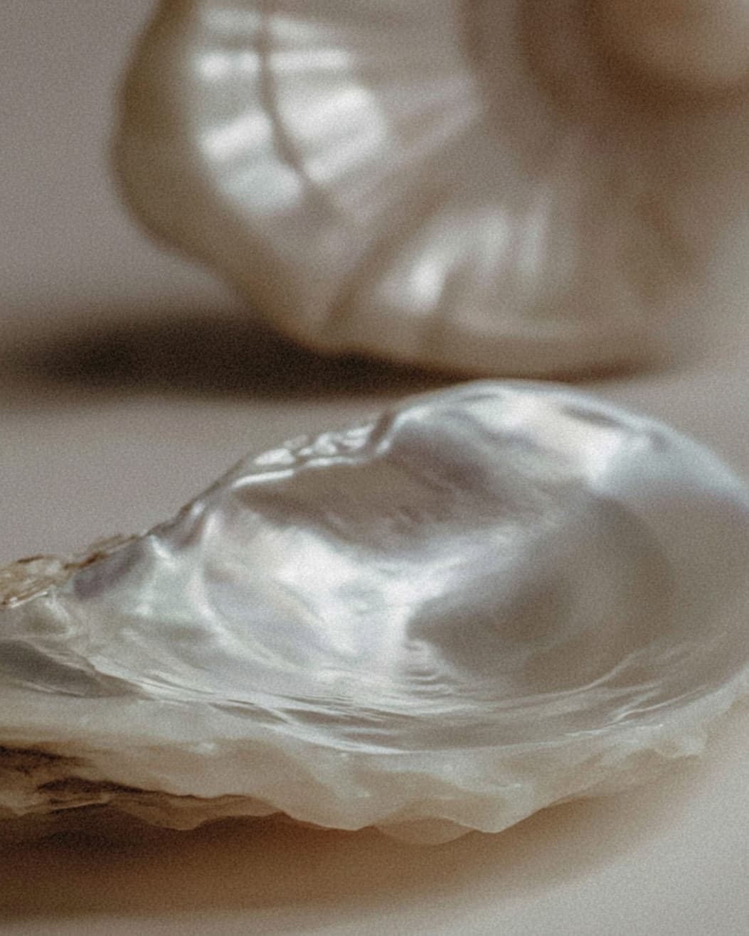 First Look of Our New Collection